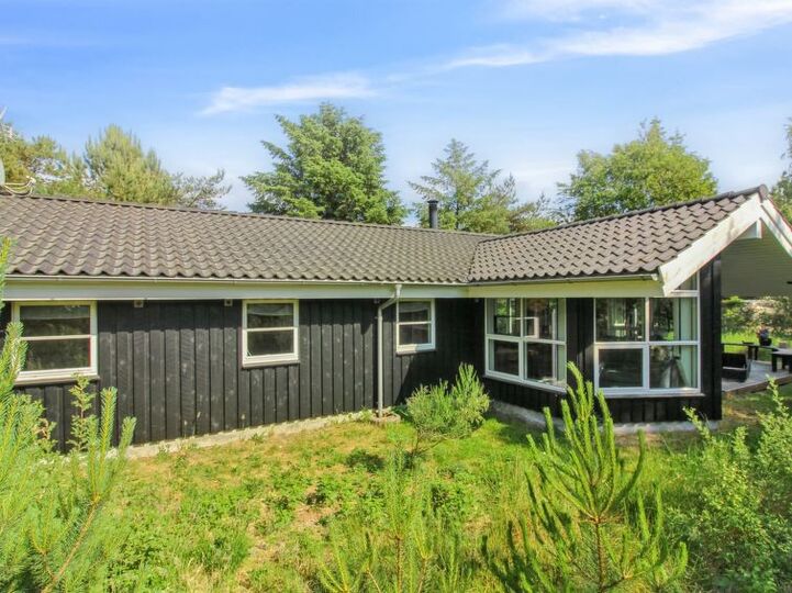 Dom s 5 zvezdicami na vrhunski lokaciji, Fjerritslev 1066, Fjerritslev, Denmark