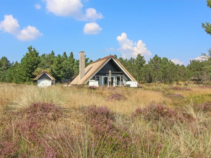 Luksuzni dom, idilična lokacija, Blåvand 1059, Blåvand, Denmark
