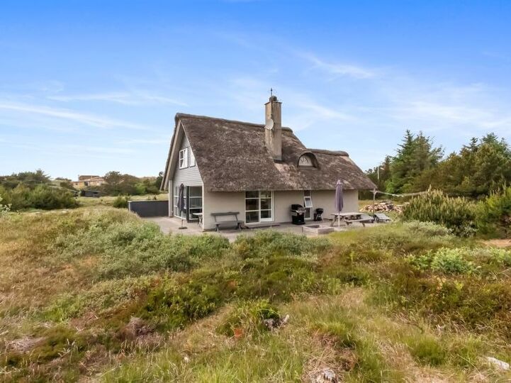 Luksuzno zatočišče, ki vam bo všeč, Henne 1082, Henne, Denmark