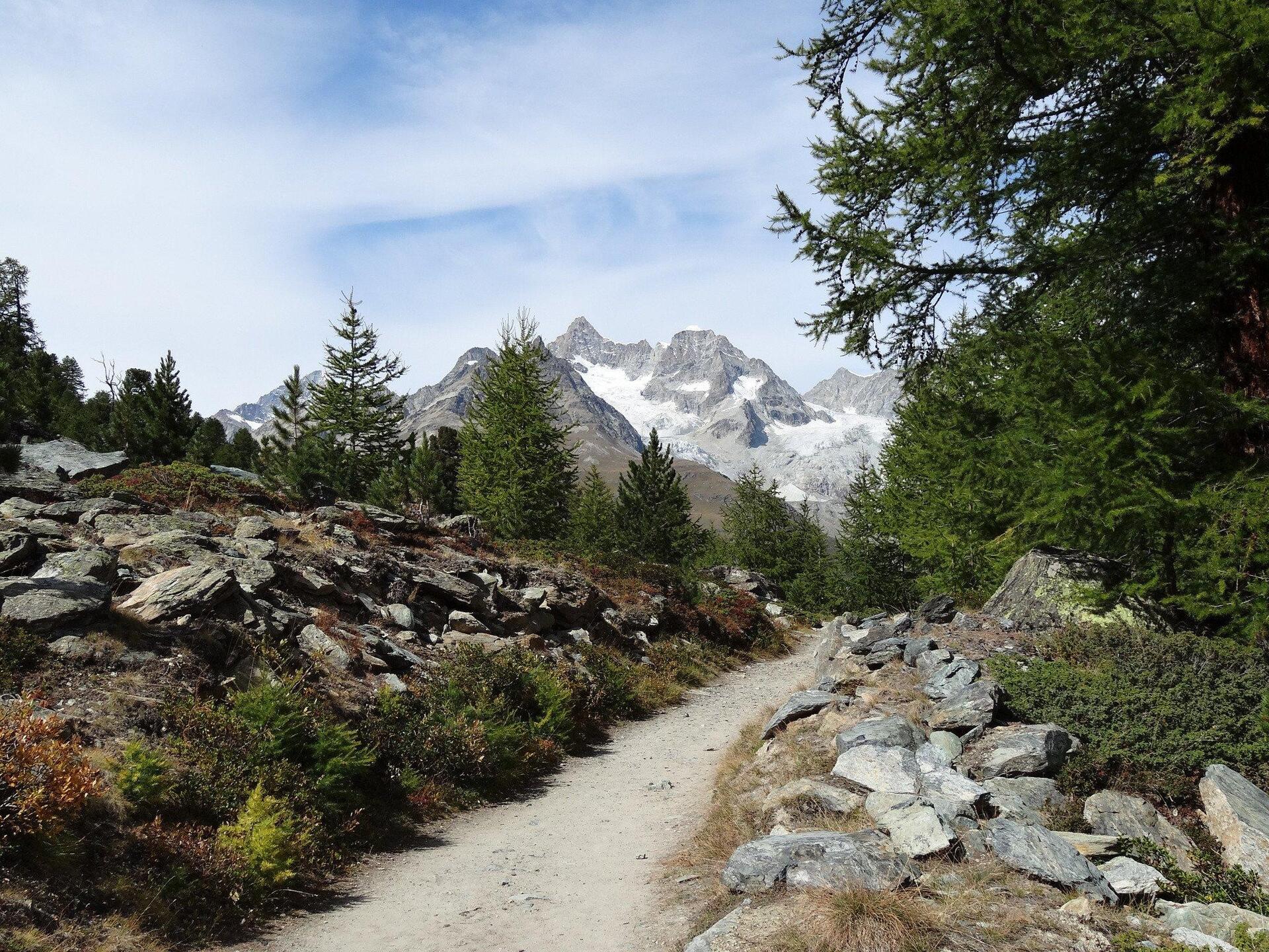 Razgledi na Matterhorn in alpska eleganca, luksuzna koča v Valaisu 1407