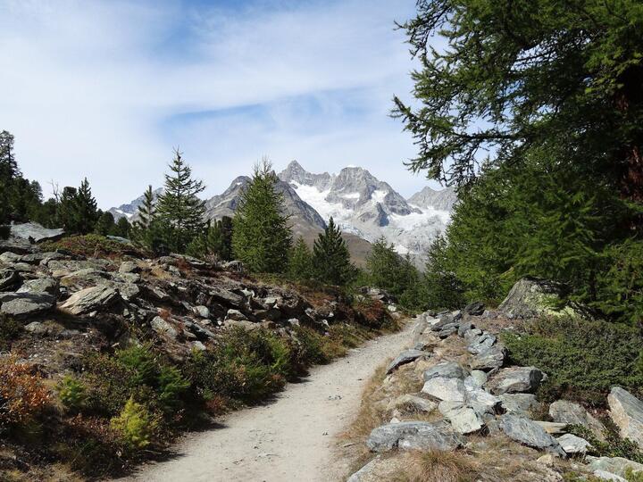 Razgledi na Matterhorn in alpska eleganca, luksuzna koča v Valaisu 1407
