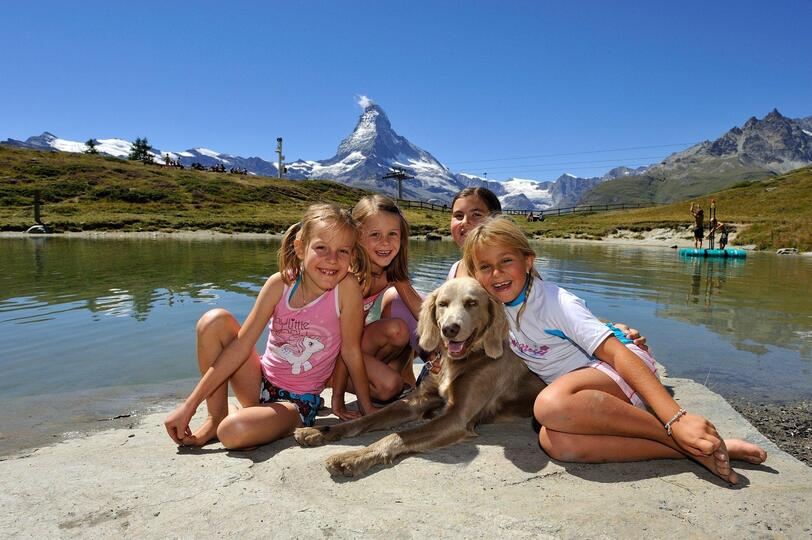 Razgledi na Matterhorn in alpska eleganca, luksuzna koča v Valaisu 1407