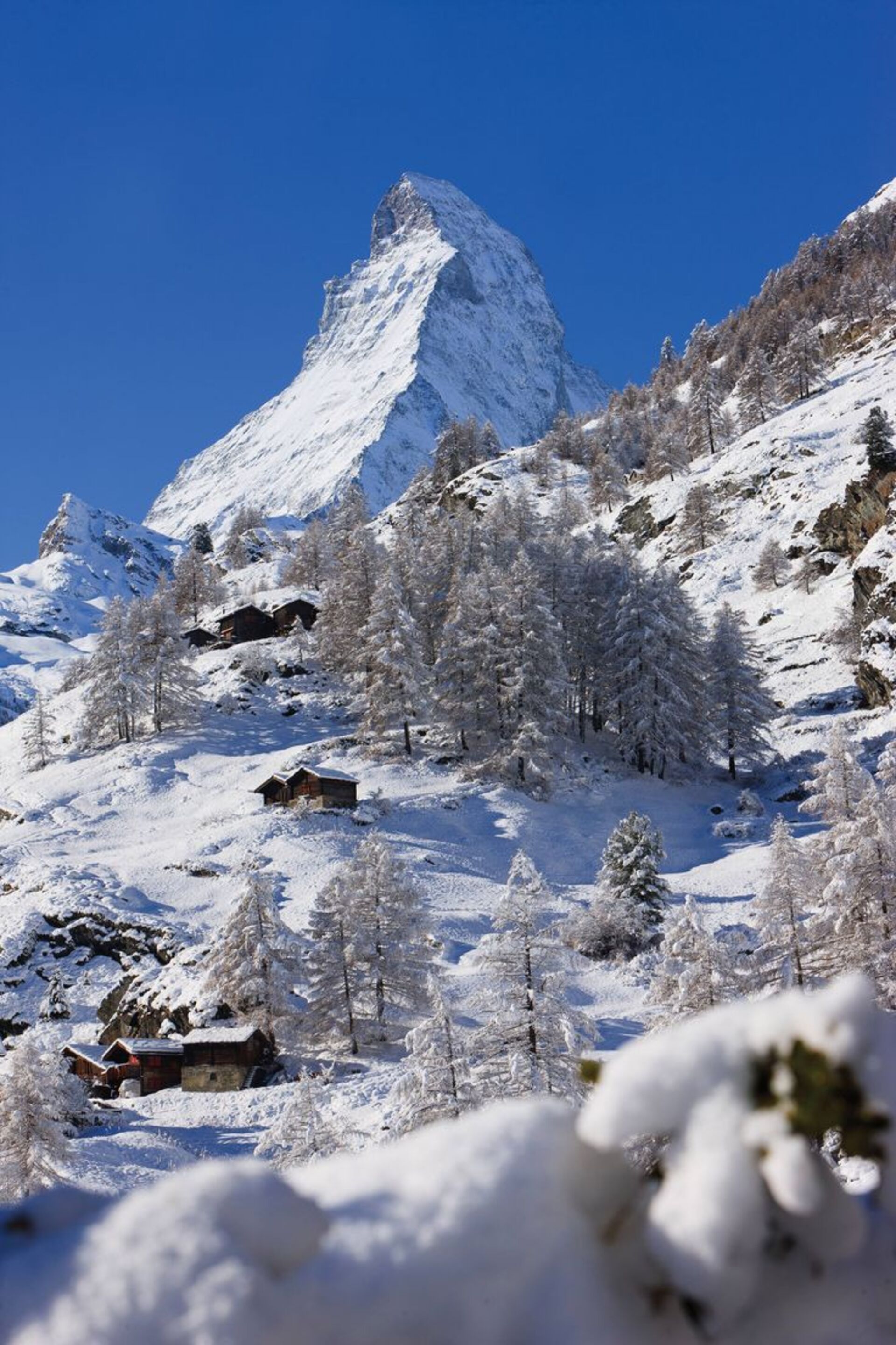 Razgledi na Matterhorn in alpska eleganca, luksuzna koča v Valaisu 1407