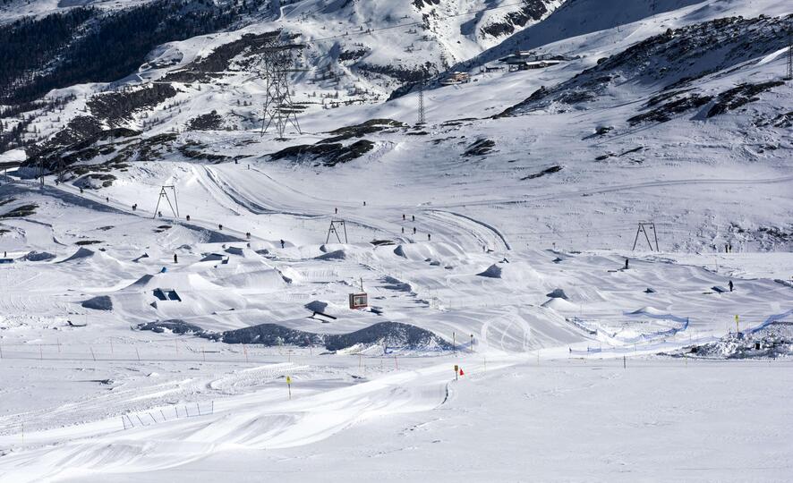 Razgledi na Matterhorn in alpska eleganca, luksuzna koča v Valaisu 1407