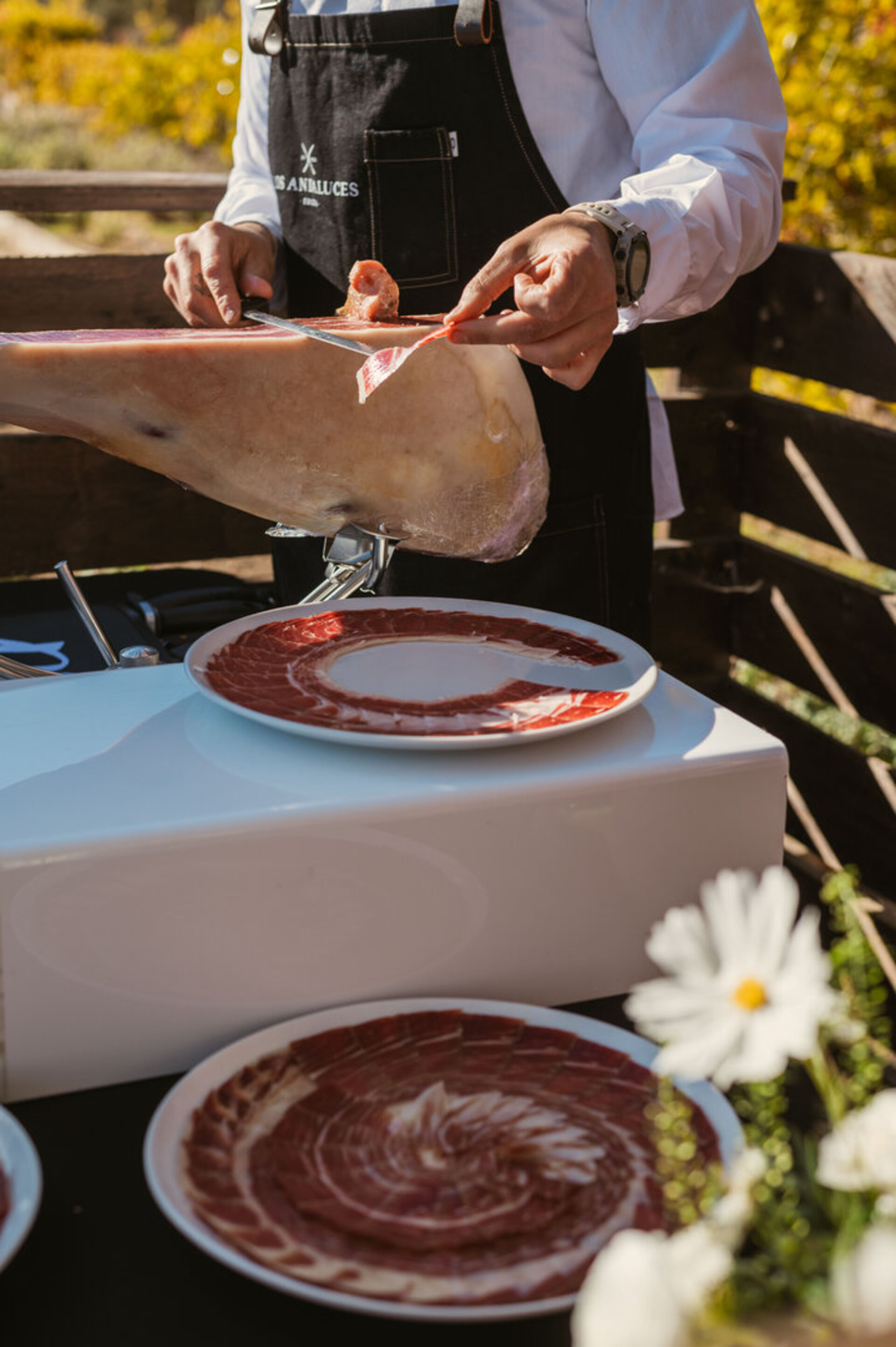 Brezčasno zasebno luksuzno zatočišče, vila na Ibizi 1049