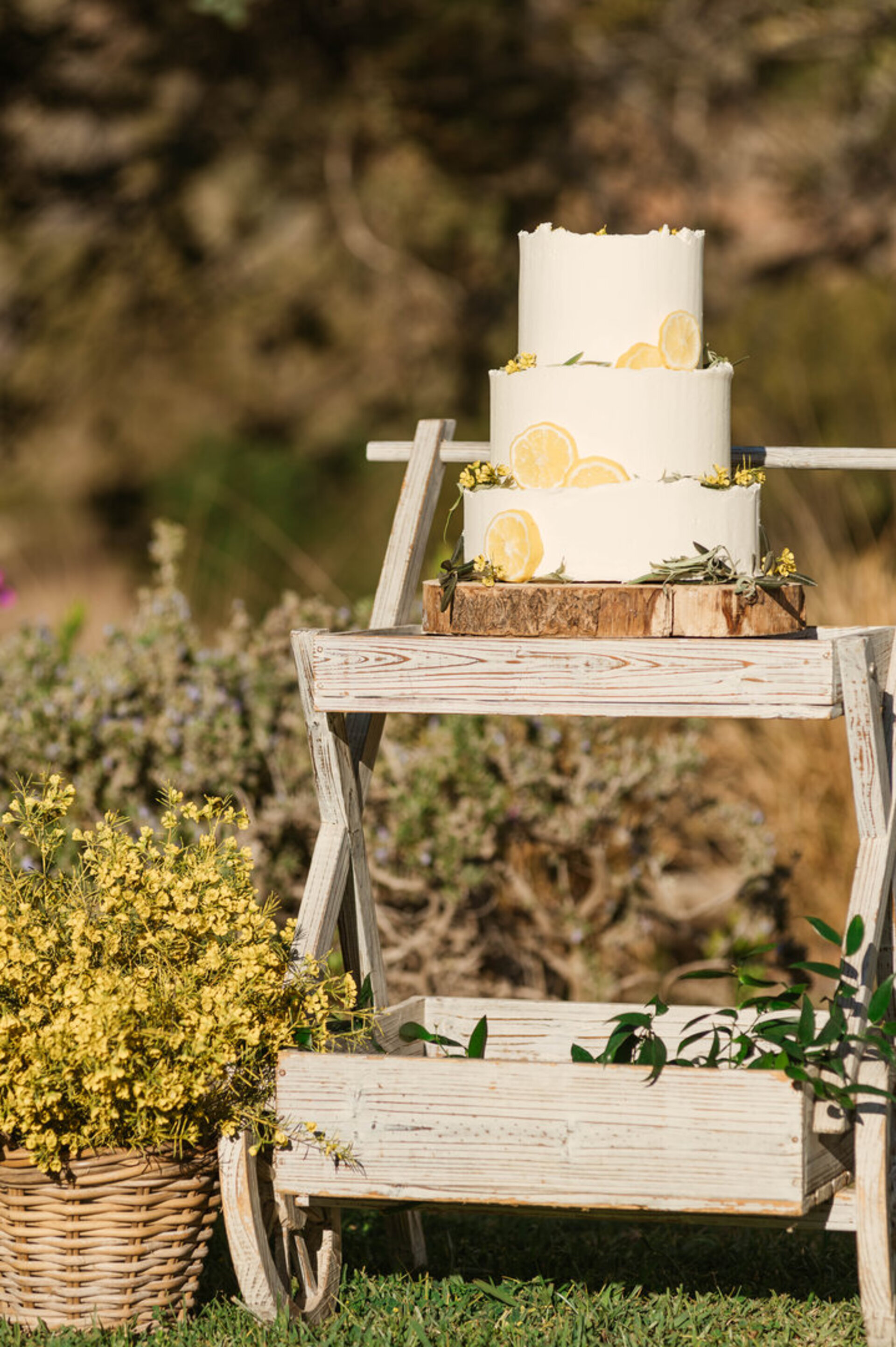 Brezčasno zasebno luksuzno zatočišče, vila na Ibizi 1049
