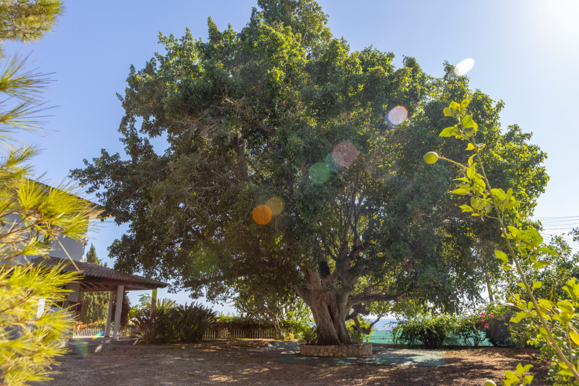 Moderna vila s 4 spalnicami Oasis v Ayia Napi, 1396