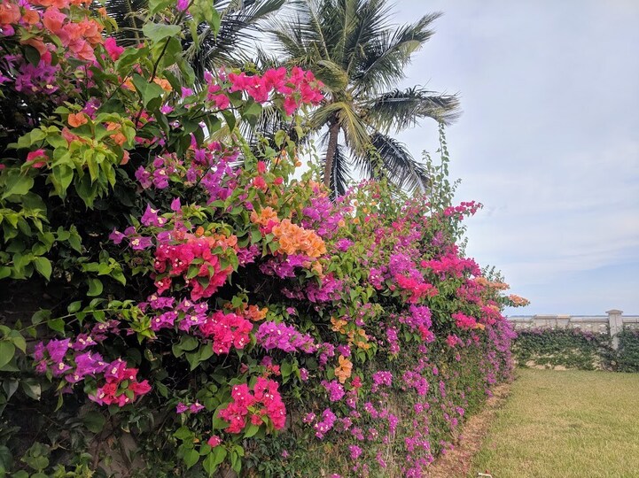 Nepozabno razkošje ob morju v rajskem Zanzibarju, 1002
