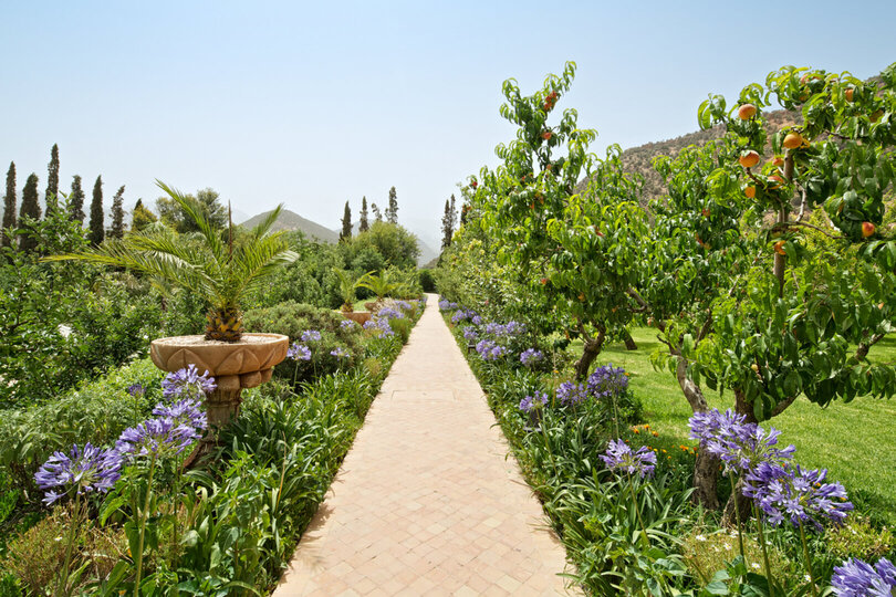 Whispers of the Atlas: A Hidden Retreat in Morocco 1026