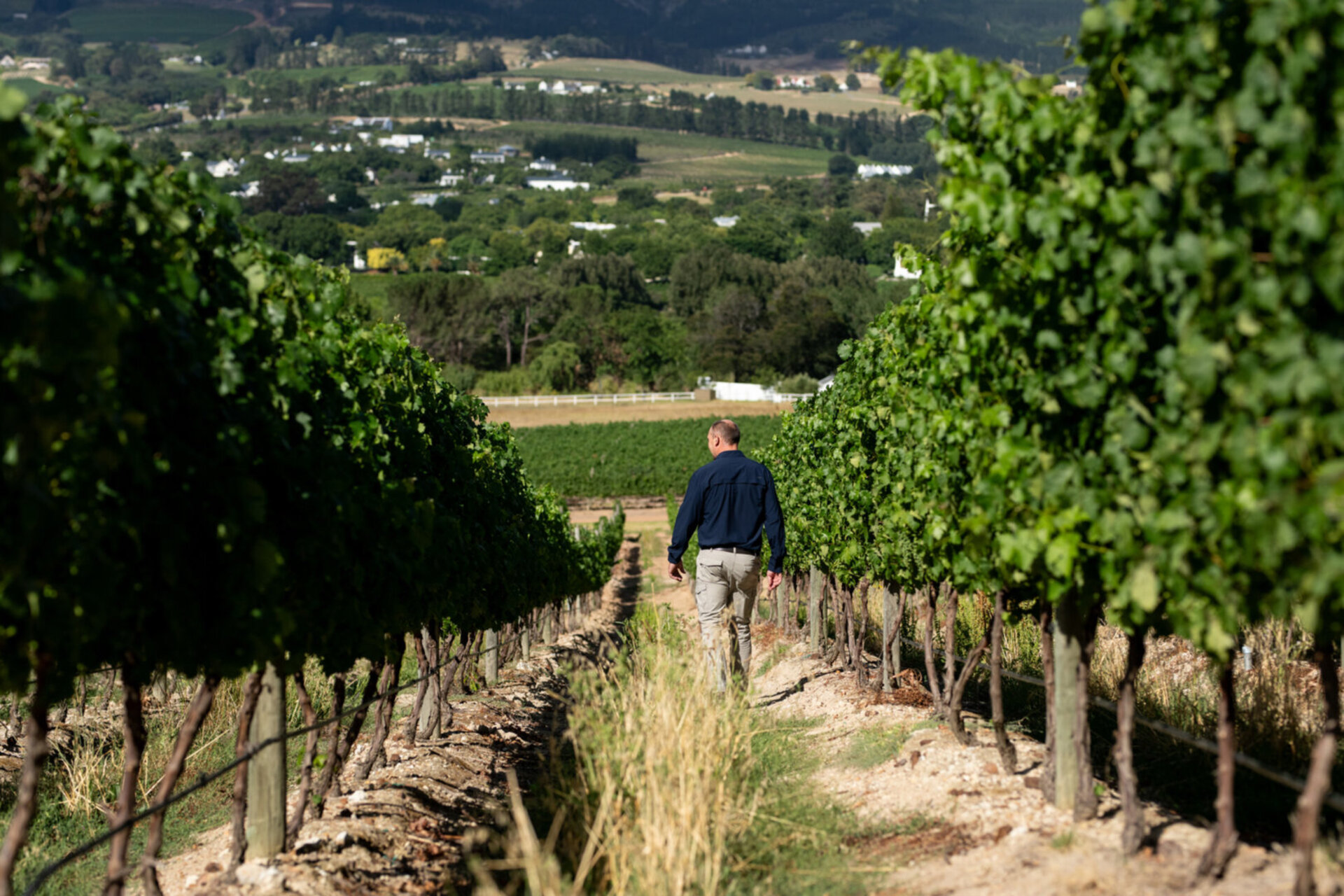 Mont Rochelle – A Luxurious Escape in Franschhoek, 1028