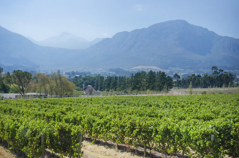 Mont Rochelle – A Luxurious Escape in Franschhoek, 1028