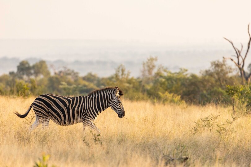 Ulusaba_Cliff 1030