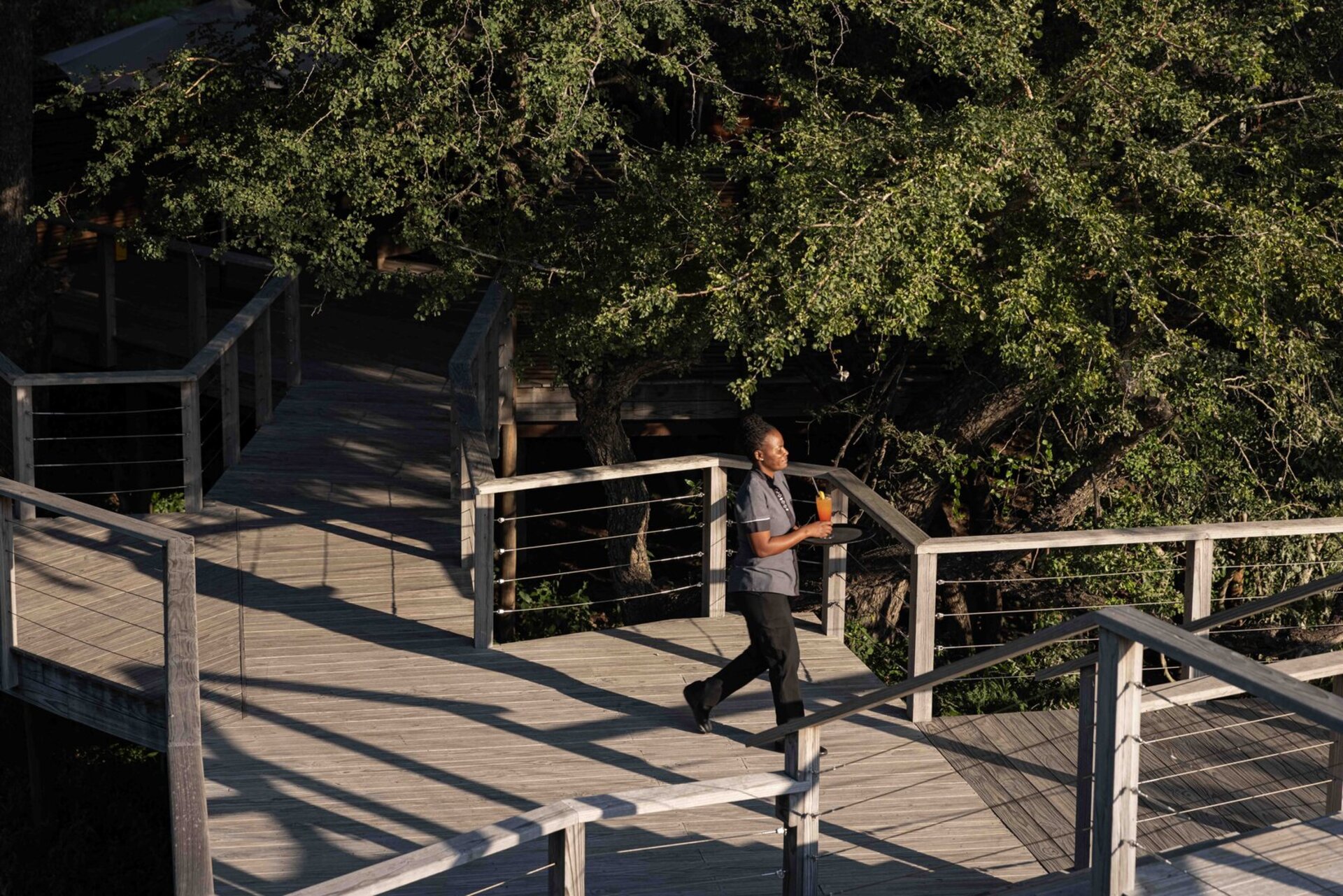 Tranquil Trails 1031