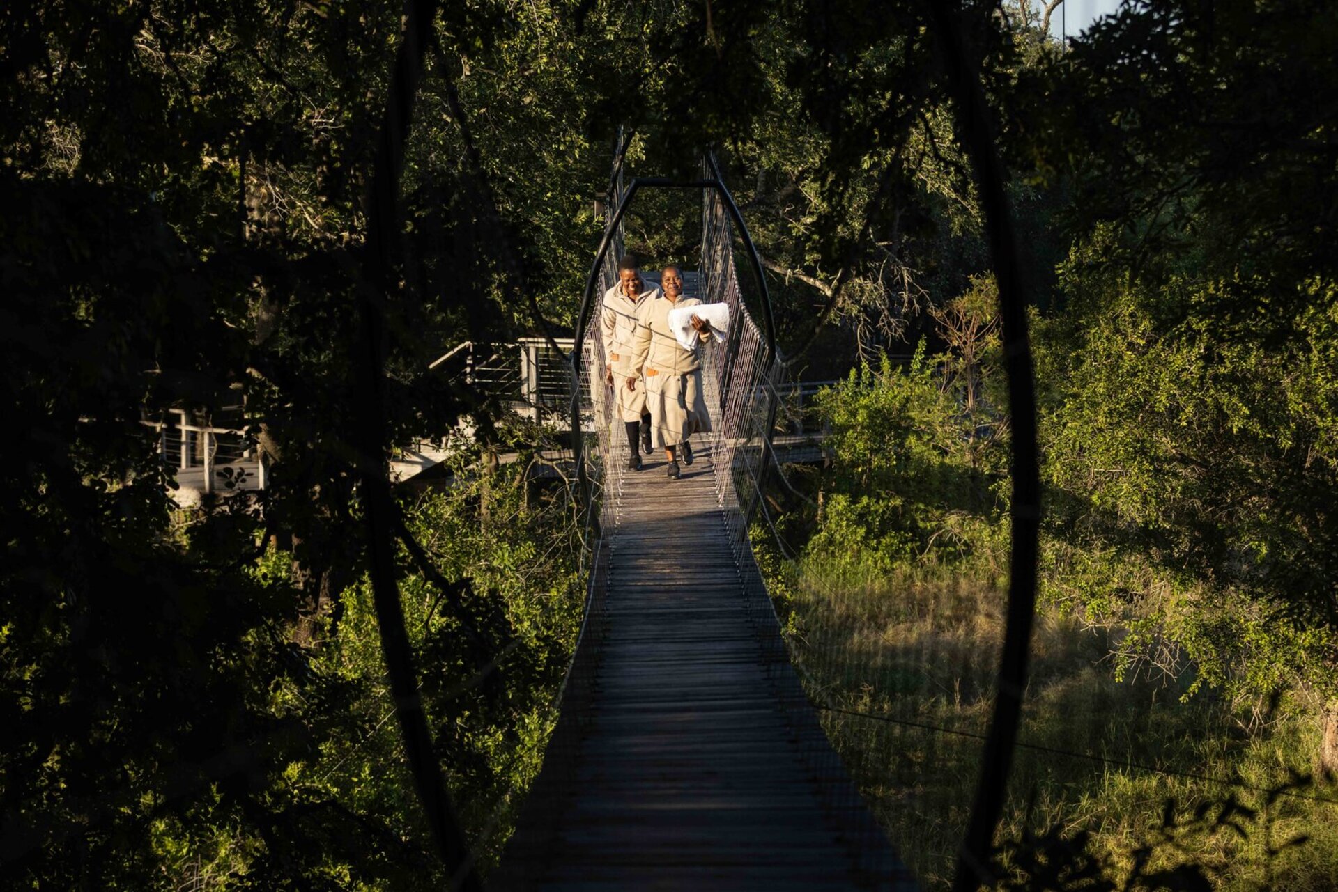 Tranquil Trails 1031