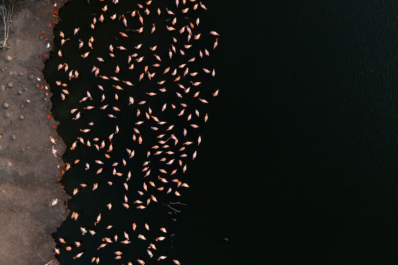 Private Haven Suite 1006