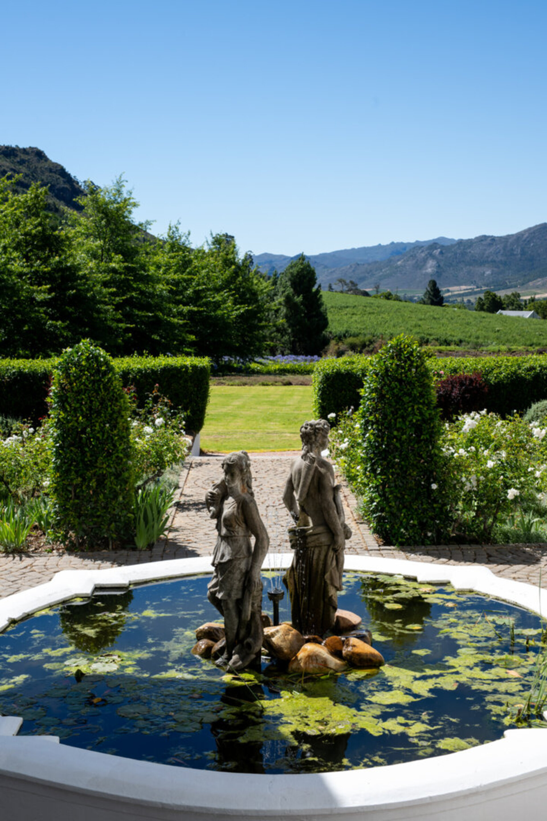 Cap Classique Vineyard Pool Suites with Private Pool 1043