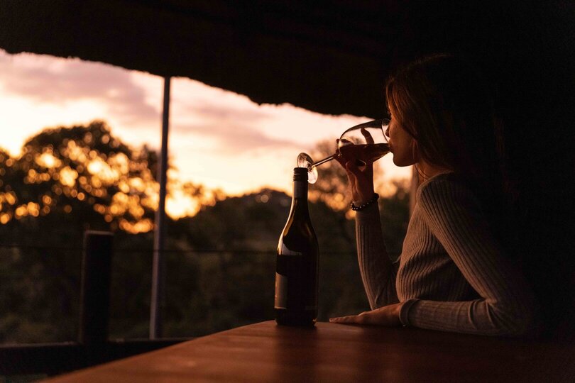 Elevated Treehouse Retreat with Bush Views 1056