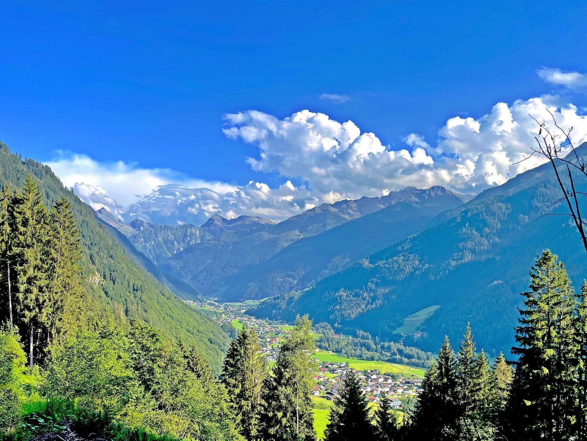 View