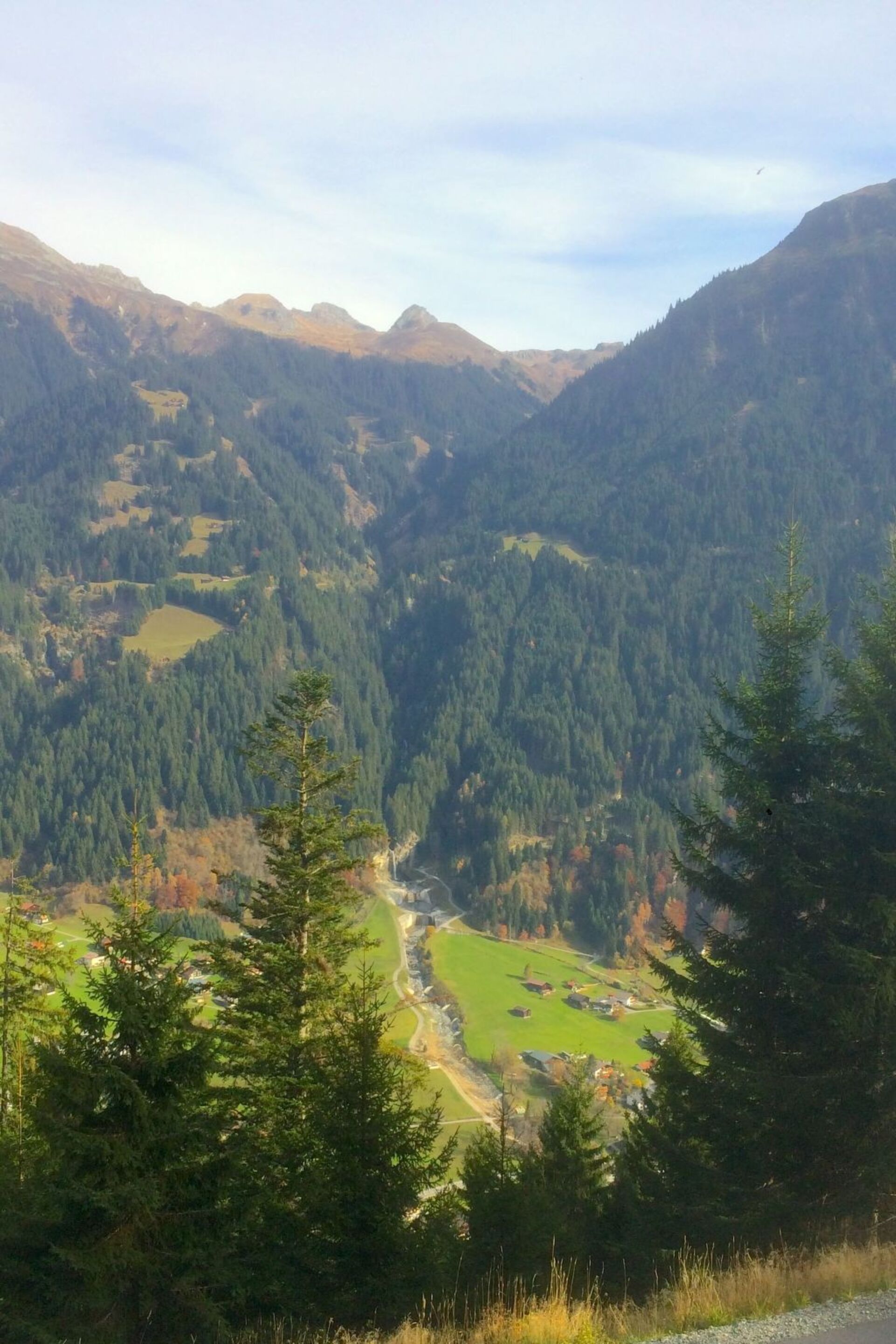 View