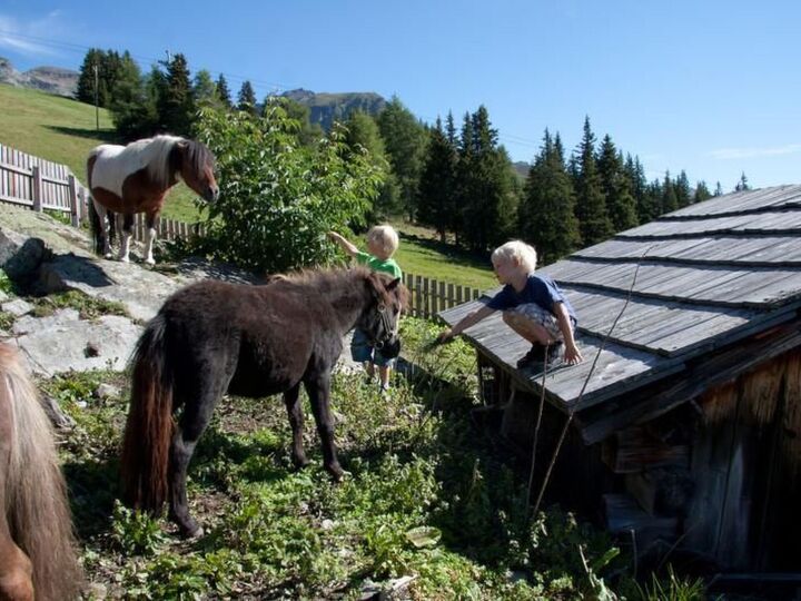 3-posteljno stanovanje v Landecku, 7 oseb, 1332