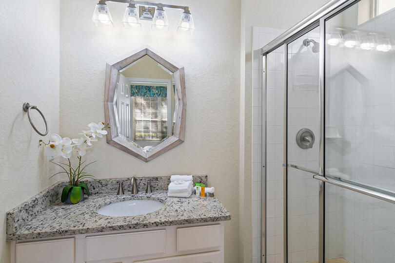 King Suite Bathroom 2 Downstairs Shower