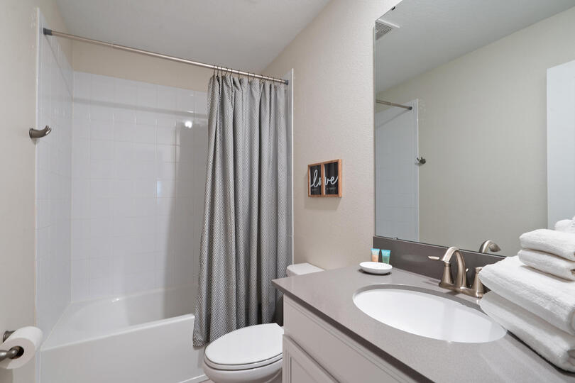 Hall Bathroom upstairs Tub/Shower