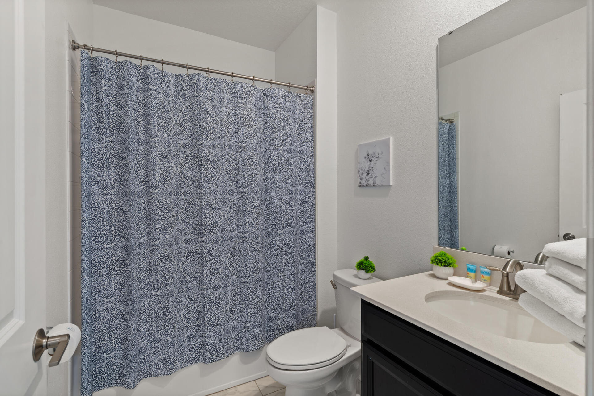 Hall Bathroom 4 Upstairs Tub/Shower Combo